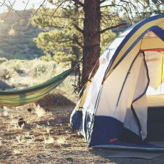A Detailed Guide On How To Begin Camping For The First Time
